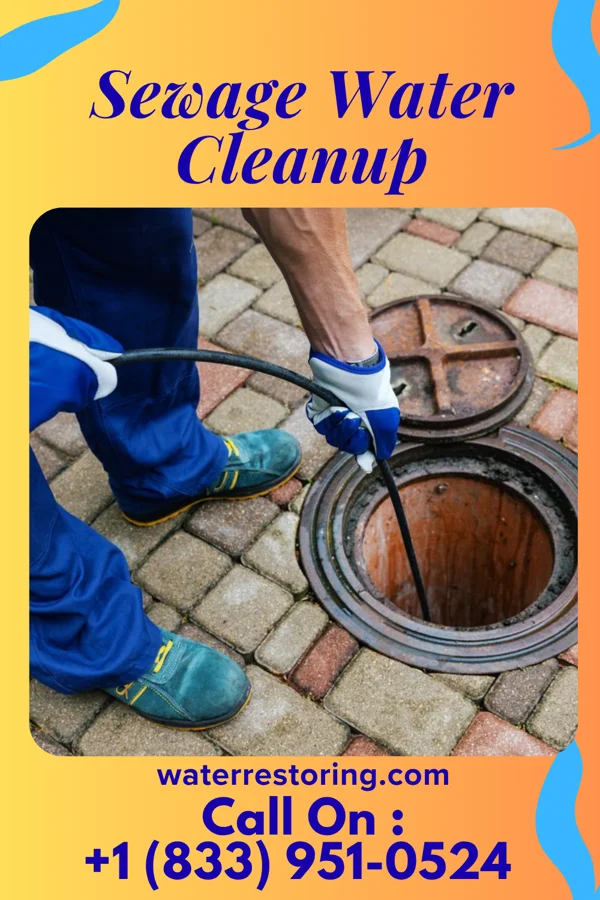 Sewage Water Cleanup in Burkeville, VA