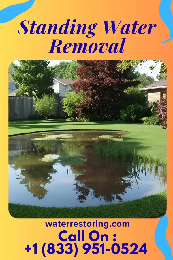 Standing Water Removal in Burkeville, VA